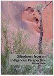 Giftedness from an Indigenous Perspecitve by Wilma Vialle