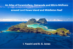 An Atlas of Foraminifera, Ostracoda and Micro-Molluscs around Lord Howe Island and Middleton Reef by Iradj Yassini and Brian G. Jones